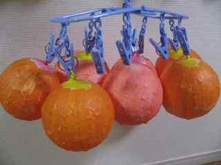 鈴なりランタン09