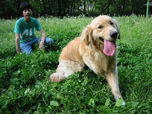 ティムグリーンキャンプ場