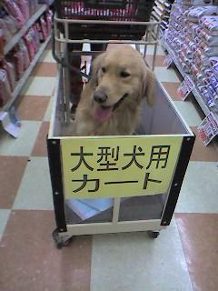 大型犬専用カート