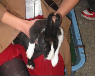 ブログみほ写真1