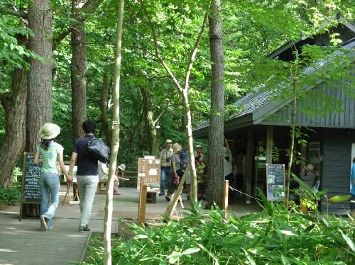 ないあがらコラム写真