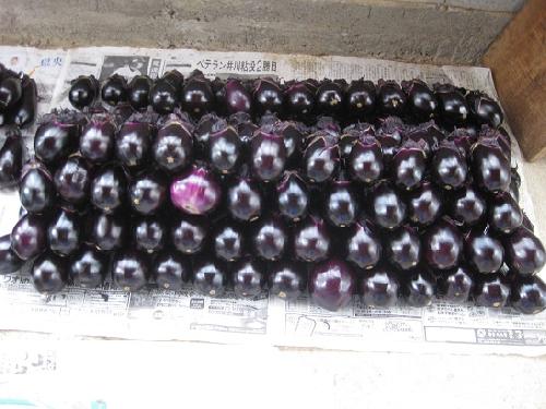 みっちゃんコラム写真