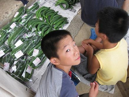 みっちゃんコラム写真③