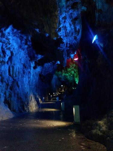 らんらんコラム写真