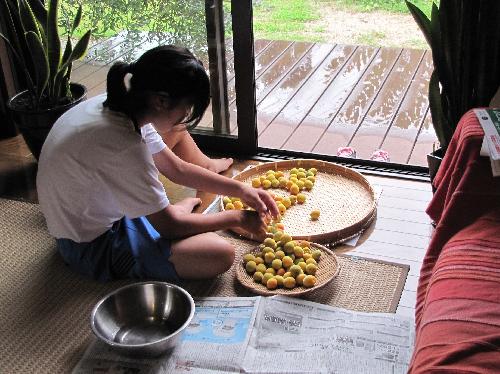 梅干し