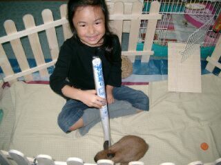 ちょことさくら