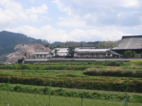 橘寺