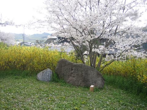 坂田寺２