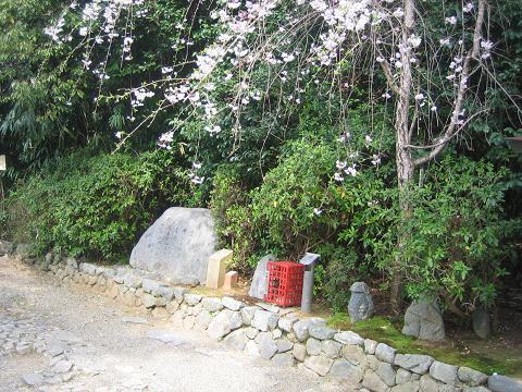 飛鳥坐神社歌碑１