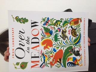 おおきなのはら