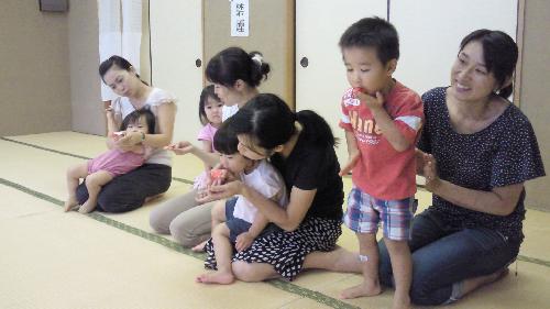 Prテントウムシ