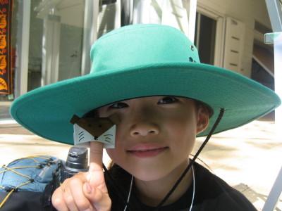 たぬきおりがみ