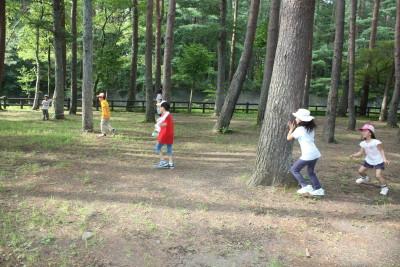 林の中の鬼ごっこ