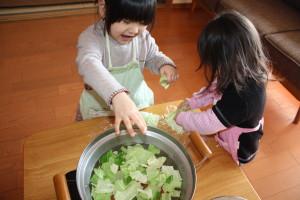 キャベツもあったよ