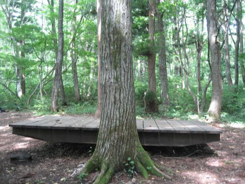 大きな大きなシーソー