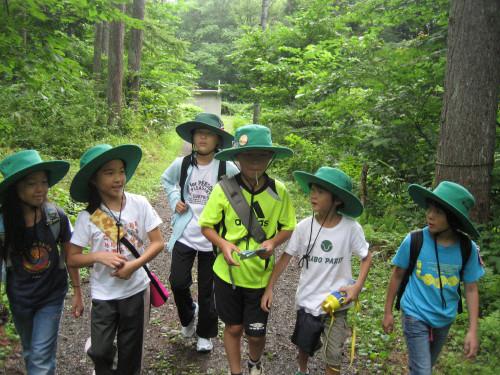 しょいこチーム