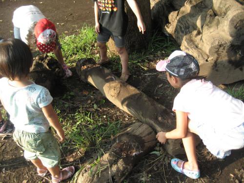 テーブルやいす