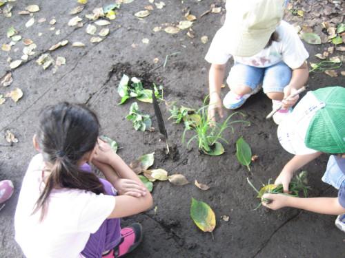 ないないないの食事