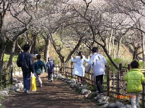 公園中をめぐるポイントラリー