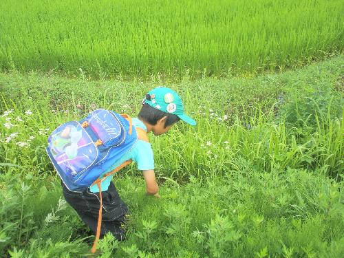 ああ、いつもと同じ・・・