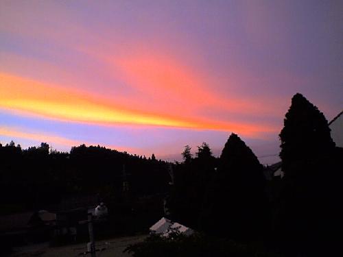 the beautiful sunset