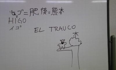 el-trauco-1