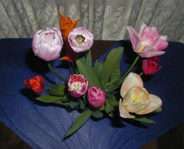 チューリップがラボっ子みたいに笑ってる！