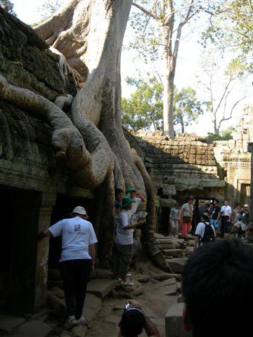 アンコールワット5