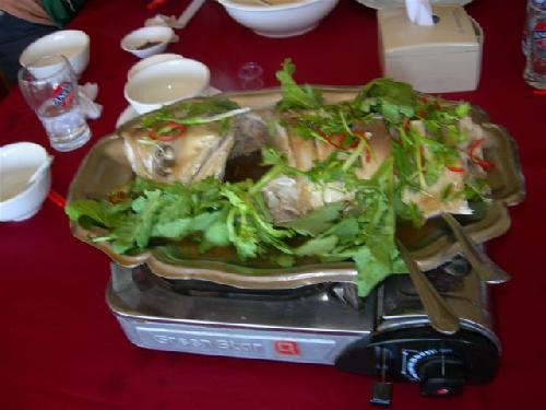 スネークヘッドフィッシュ