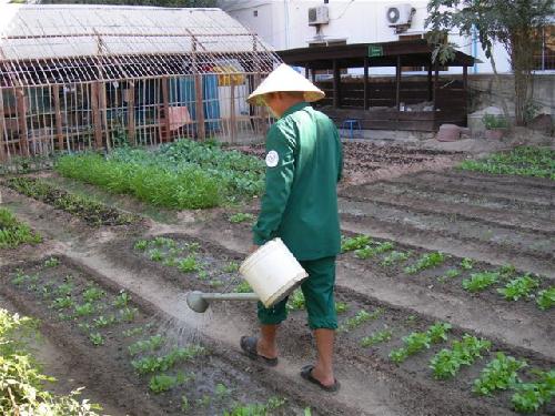 カンボジアこども病院2