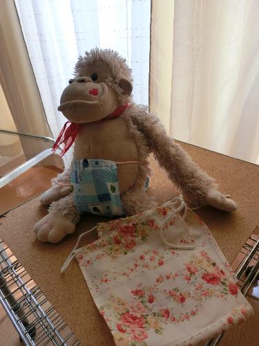 もっこふんどし