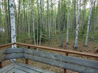 スーの家の窓から