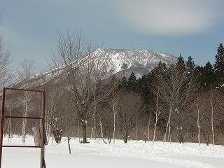 スプリング景色