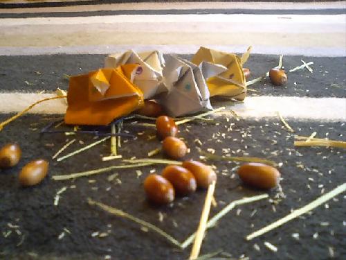 フレデリック１