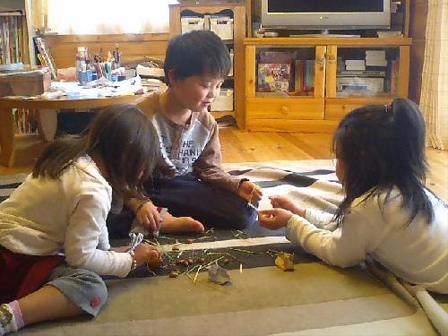 フレデリック２