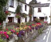 バックルイート２