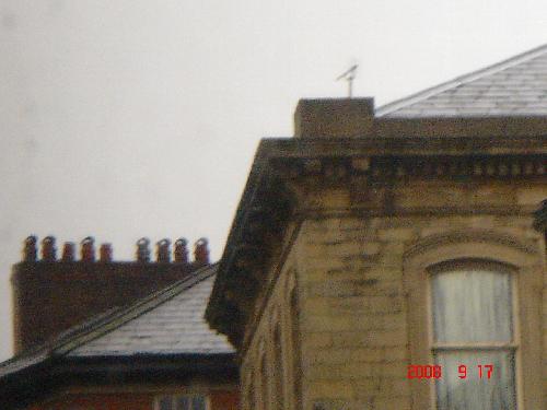 チムニーポット１