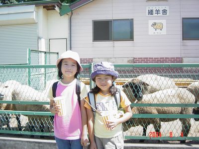 こどもの国るいとまい