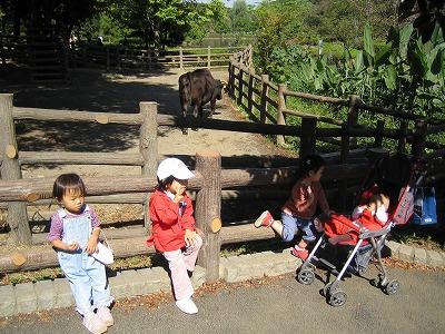 プレィルームのラボっことフェルジナンド