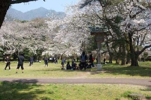 いずもこうこう