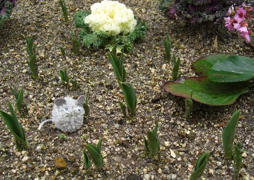 フレデリック２