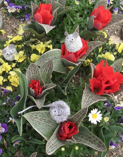 チューリップとフレデリック