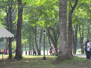 ラボサマーキャンプ2013年5