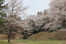 伊那市こども英語ラボ寺沢6