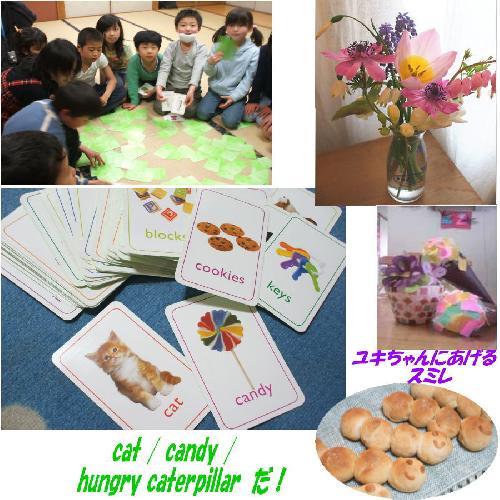 cat candy caterpillar