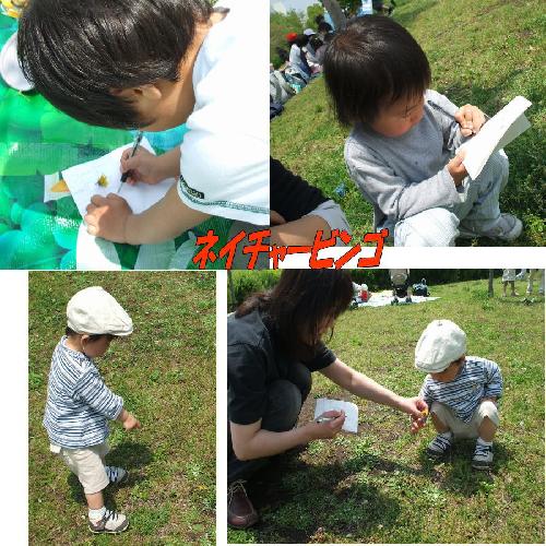 ネイチャービンゴ